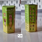 سانی انجل