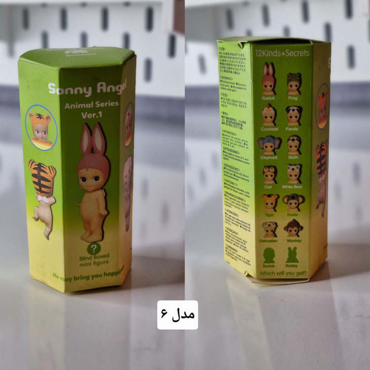 سانی انجل